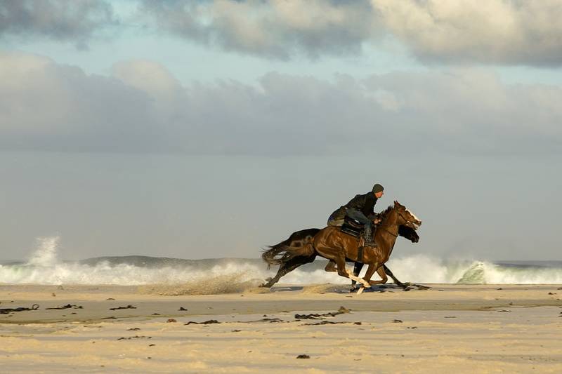 Strandurlaub Callantsoog LekkerNaarZee